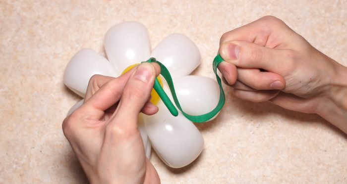 chamomile-of-balloons-spep-18