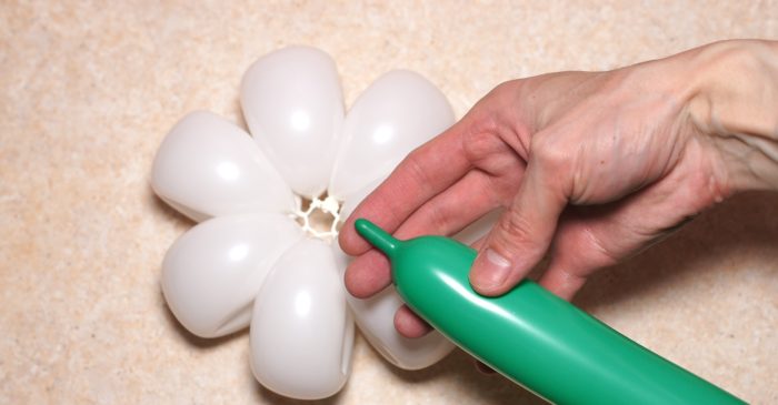 chamomile-of-balloons-spep-19