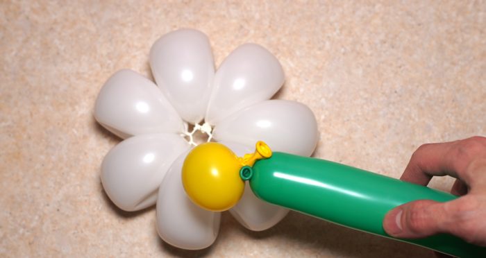 chamomile-of-balloons-spep-20