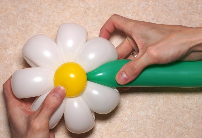 chamomile-of-balloons-spep-21