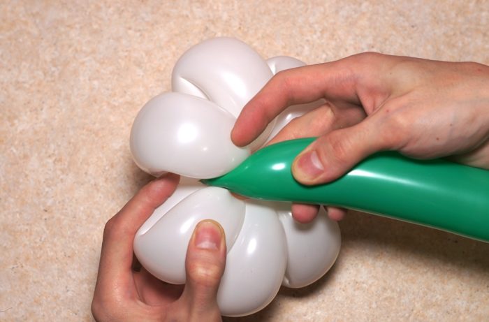 chamomile-of-balloons-spep-22