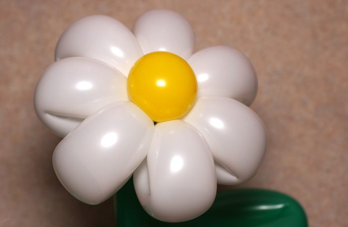 chamomile-of-balloons-spep-30
