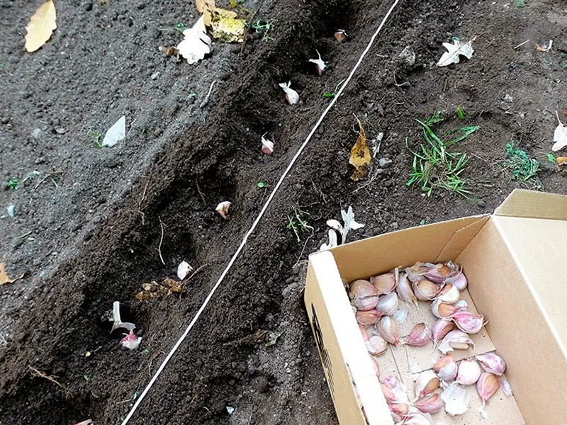 ÃÂÃÂÃÂðÃÂú ÃÂø ÃÂúÃÂþÃÂóÃÂôÃÂð ÃÂÃÂÃÂðÃÂöÃÂðÃÂÃÂÃÂàÃÂÃÂÃÂõÃÂÃÂÃÂýÃÂþÃÂú ÃÂÿÃÂþÃÂô ÃÂ÷ÃÂøÃÂüÃÂÃÂ