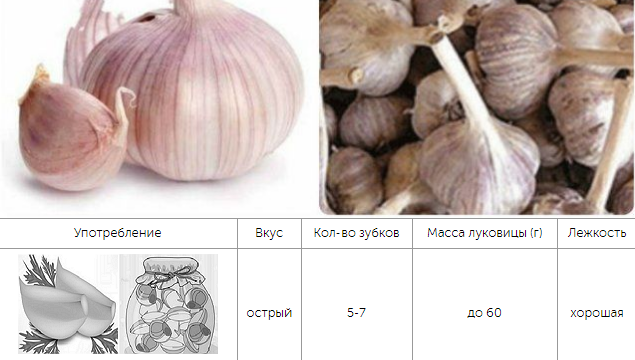 ÐодмоÑковнÑй