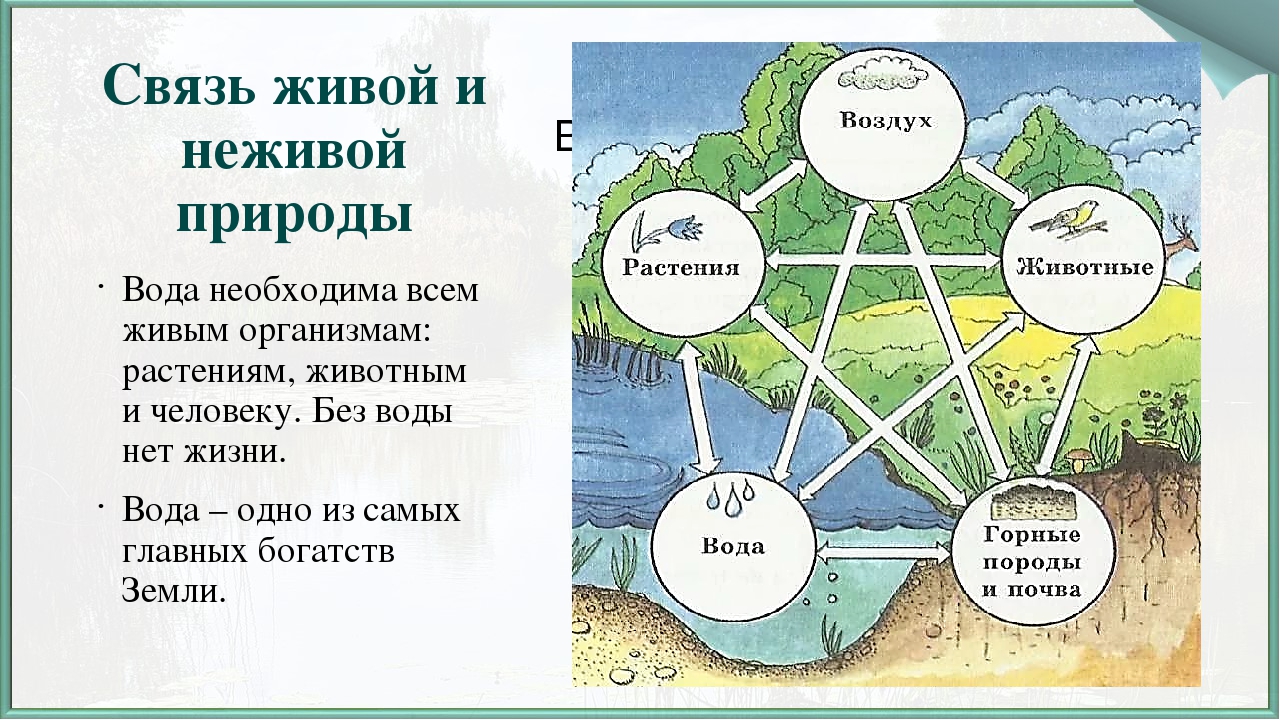 Составляющая изображения без чего оно и не может существовать