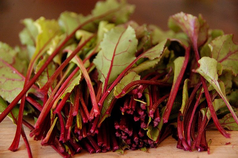 ÐбÑÐµÐ·Ð°Ð½Ð½Ð°Ñ ÑвеколÑÐ½Ð°Ñ Ð±Ð¾Ñва