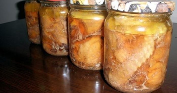 tushenka-iz-utki_1486576354_ogv2_og