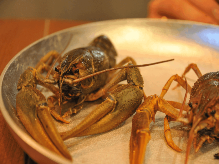 upotreblyat-v-pischu-snulyh-rakov-opasno-dlya-zdor