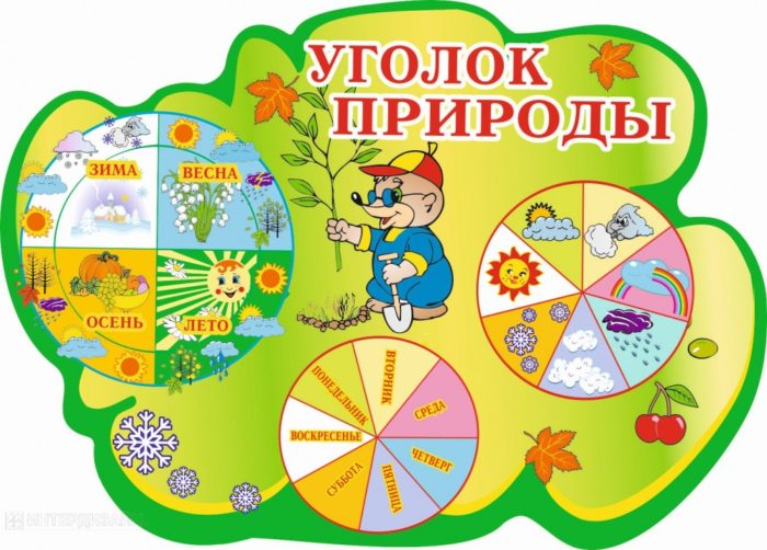 10913_24398