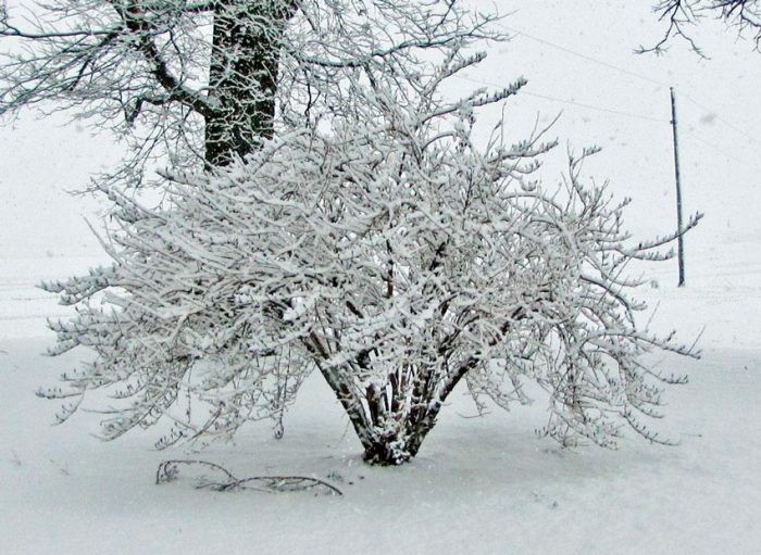 ÐÐ¸Ð¼Ð¾Ð²ÐºÐ°