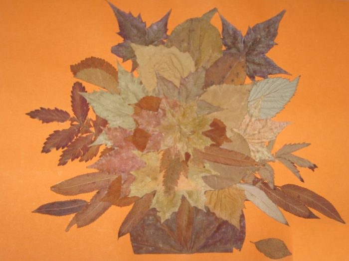 23438_2121_12_1335721718