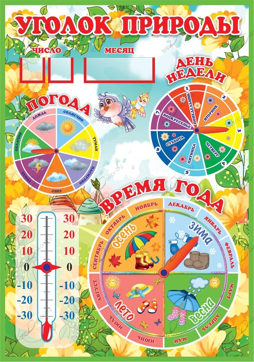 Уголок природы картинка для детей