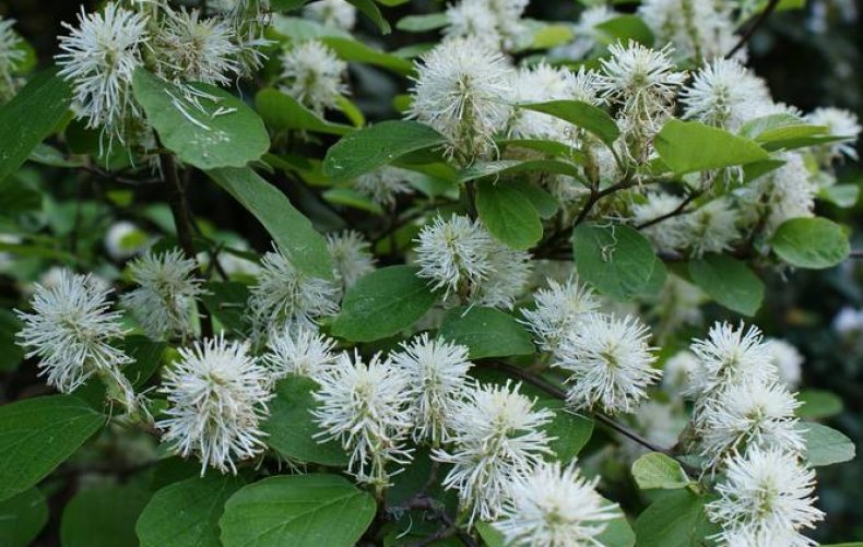 Ð¤Ð¾ÑÐµÑÐ³Ð¸Ð»Ð°