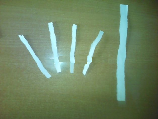 42589_e016297c69bdef1f7b6dbf25efab16bb-jpg