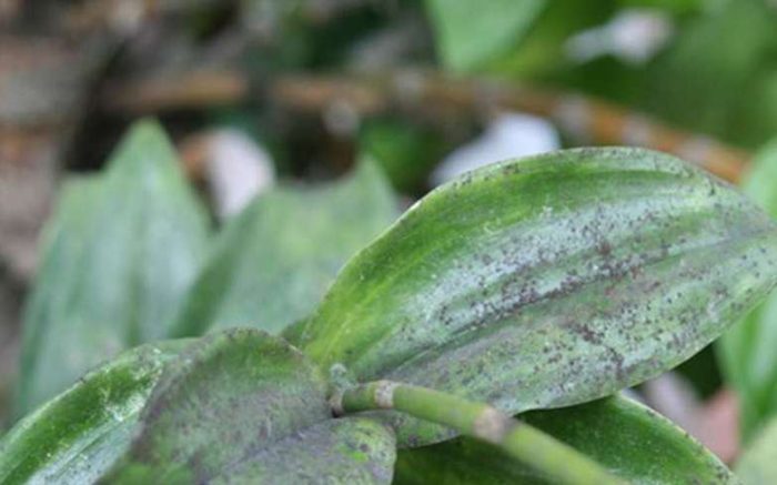 af2dab9ed56e07d1097524d754d26f88