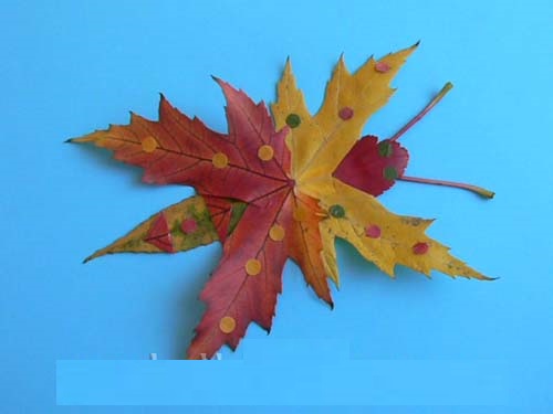 babochki-iz-listyev10