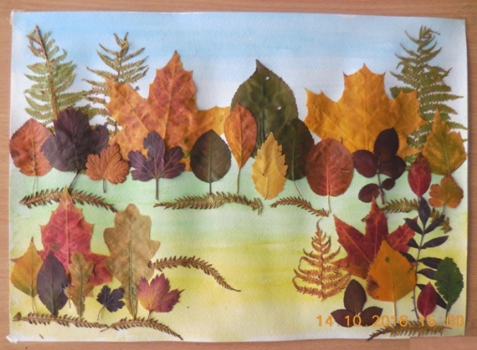 detsad-293988-1478066631