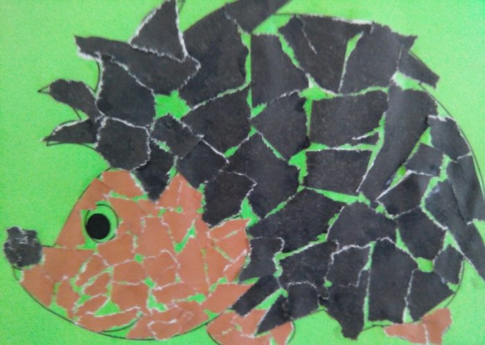 imgonline-com-ua-resize-8s65pmjholsar