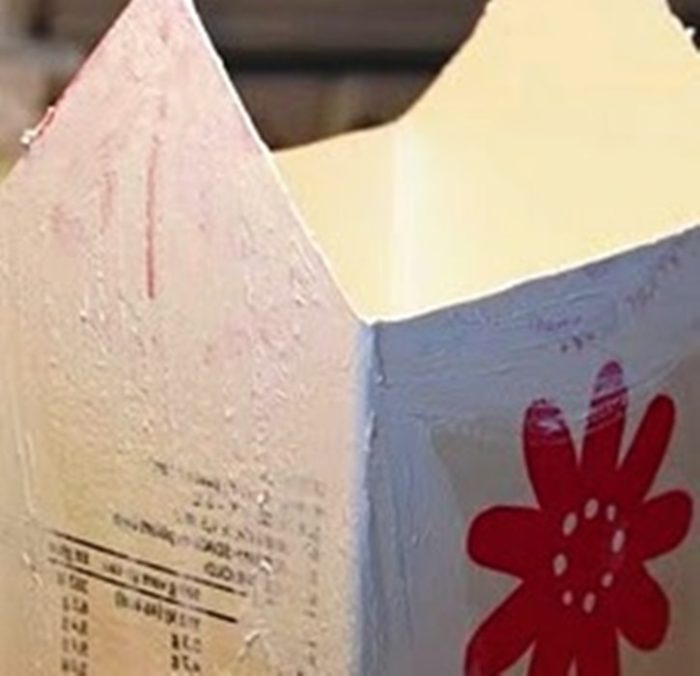 kak-sdelat-novogodnij-domik2