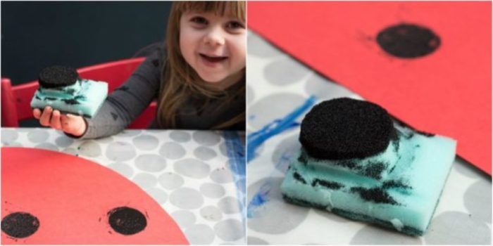 ladybird_1508500132-630x315