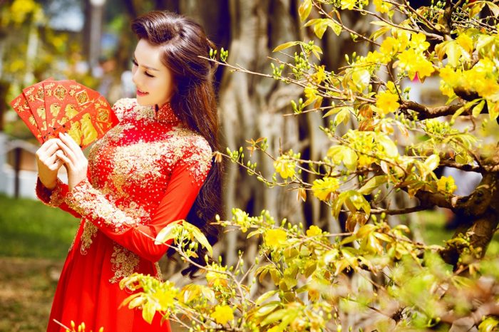 lunnyiy-novyiy-god-2016