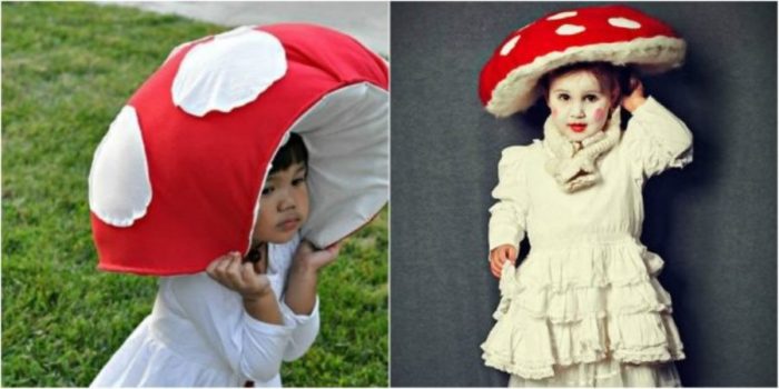 mashroom-1_1508478850-630x315