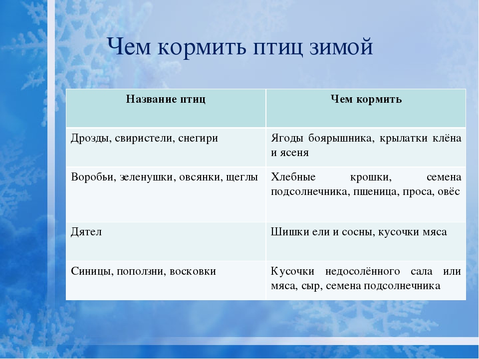 Чем подкармливать зимой. Чем кормить птиц. Чем нельзя кормить снегирей. Чем можно кормить птиц зимой. Чем подкормить свиристелей зимой.