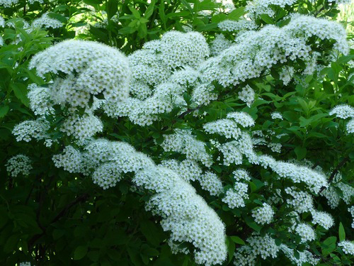 Ð¡Ð¿Ð¸ÑÐµÑ