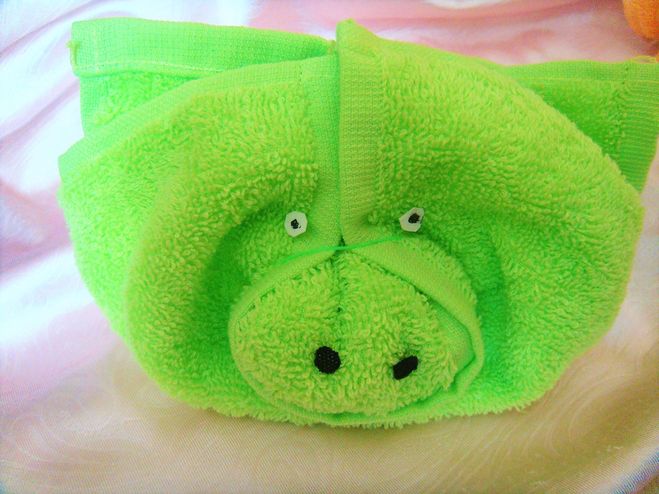 svinya-simvol-goda-201979