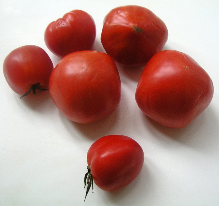 Ð·Ð°Ð¶Ð°ÑÐºÐ° Ð¸Ð· Ð¿Ð¾Ð¼Ð¸Ð´Ð¾Ñ Ð½Ð° Ð·Ð¸Ð¼Ñ