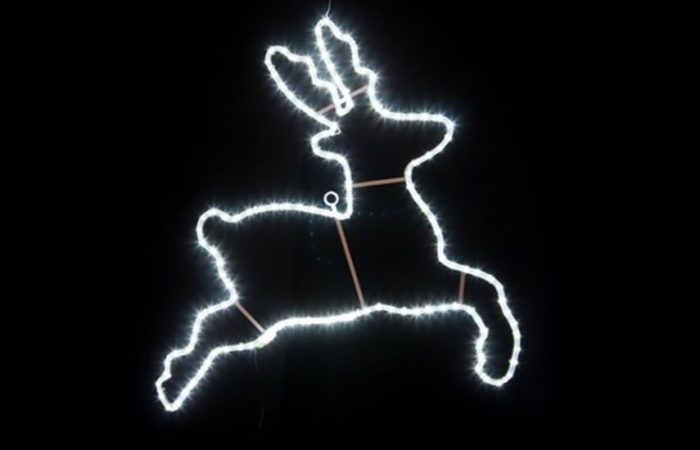 501-326_enl_1-jpg-499x321_q90_box-5101540782317_crop