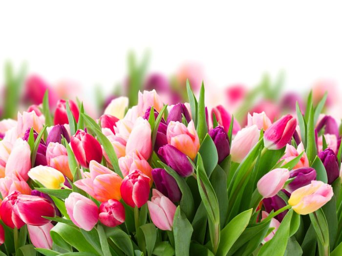 8-marta-istorija-i-traditsii-prazdnika-3