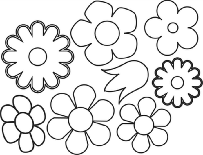 8c9c3bbfc6be7bfce0228016ccdb6e29