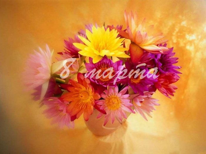 c235b22e85c3e8353abc24d3822683ba