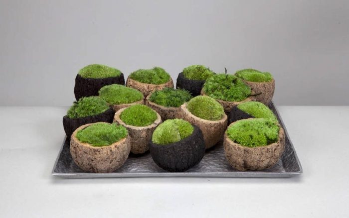 imgonline-com-ua-resize-keroyzhctddvcbs