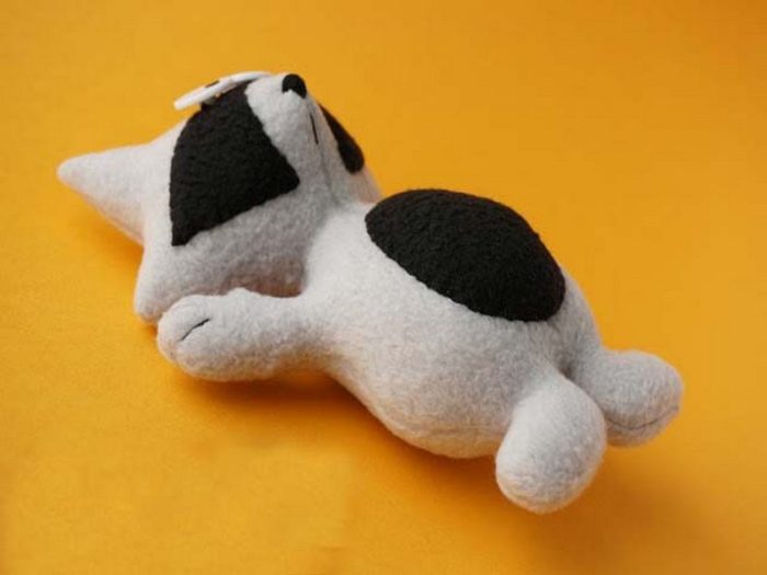 katrin-black-little-coon-2014-18