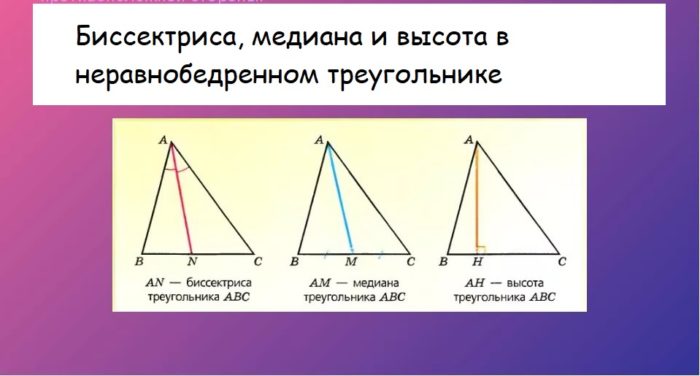 Биссектриса остроугольного угла. Неравнобедренный треугольник. Неравнобедренный прямоугольный треугольник. Высота Медиана и биссектриса в неравнобедренном треугольнике. Равные неравнобедренные треугольники.