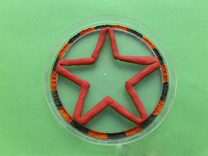 orden-iz-plastilina-4