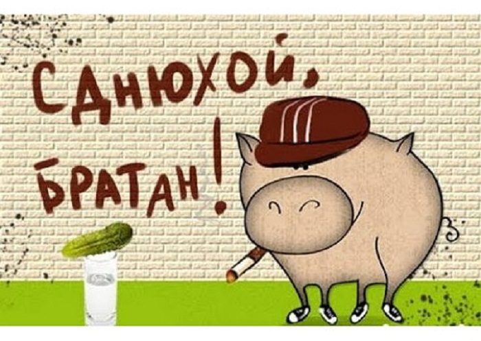 pozdravleniya-s-dnem-rozhdeniya-prikolnye-1