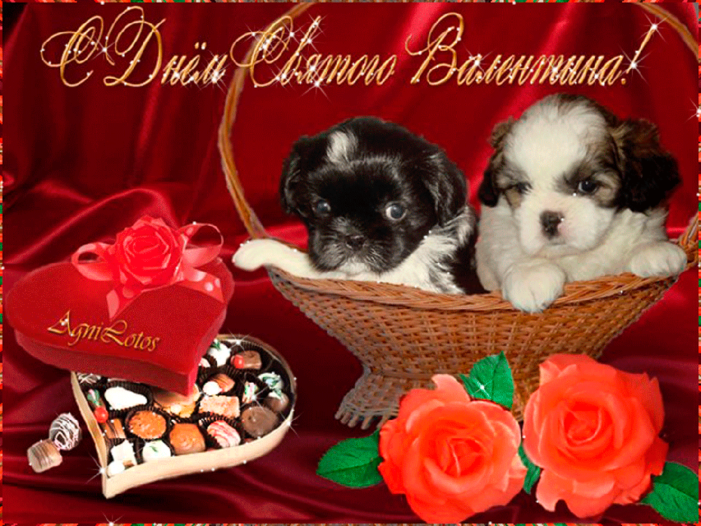 0_e0ff2_6aa56a89_xxls-dnem-svyat-val-kkk