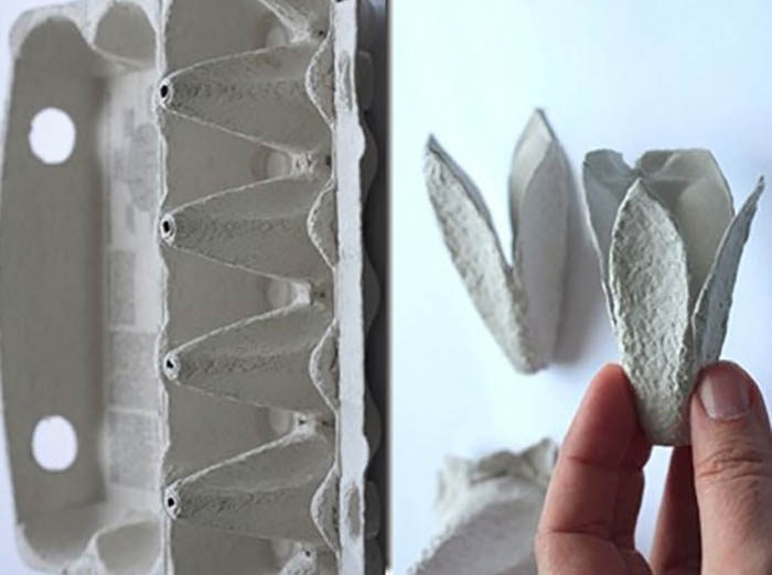 30f70c4a28a4c9a8174ad79f0560117e