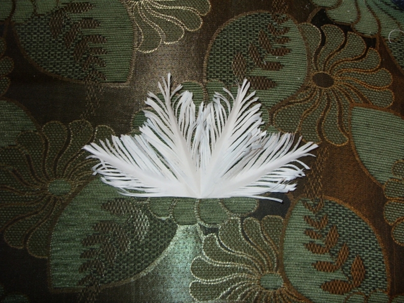 detsad-273061-1418295136