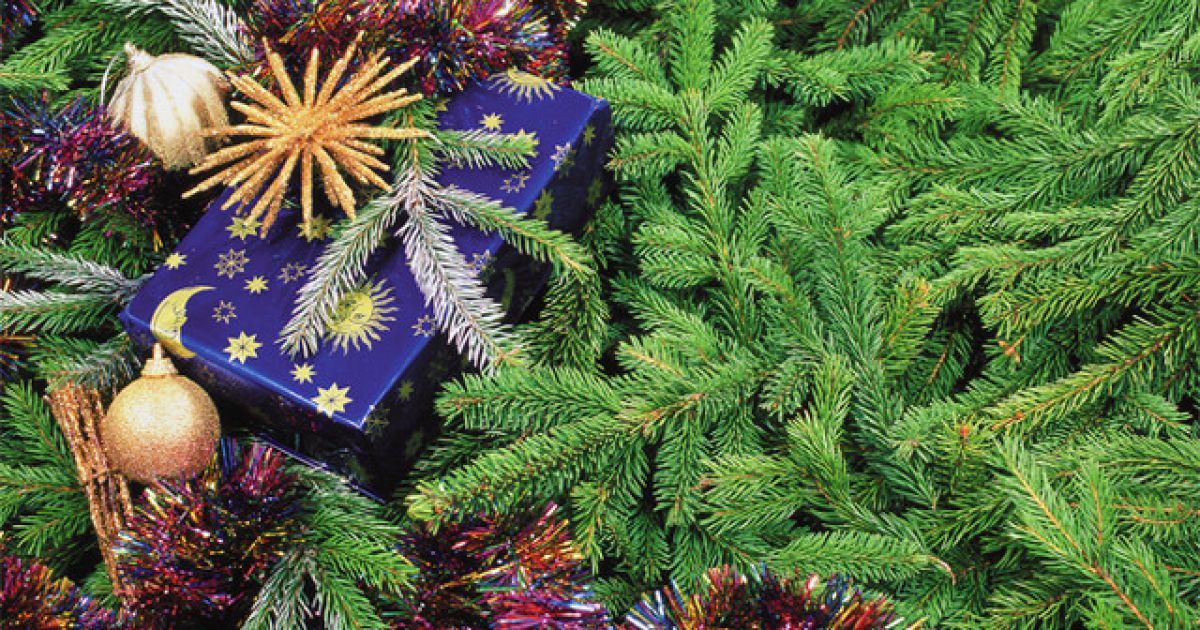 f745045b8c6775b9dd014e5ff9a5e9e0