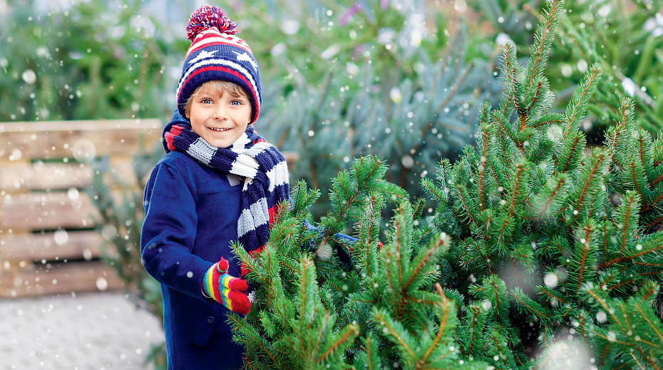 fit_930_519_false_crop_1500_1000_0_0_77872_6dd8fd0f19