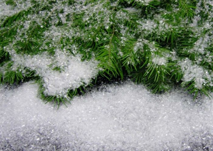 imgonline-com-ua-resize-1nhoe8xuk0u