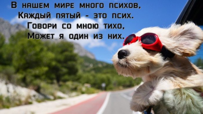 imgonline-com-ua-resize-bbtwvhju0q