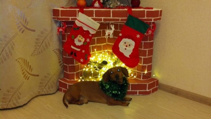 imgonline-com-ua-resize-gbhygph8fe