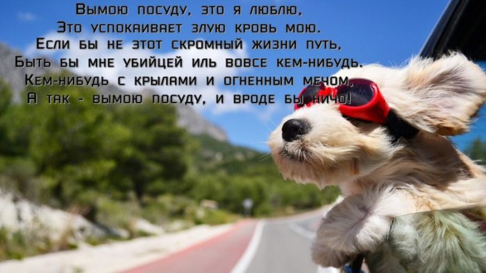 imgonline-com-ua-resize-iyadxq02bqy6