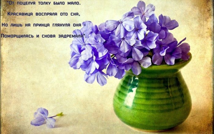 imgonline-com-ua-resize-mntu384p0dc