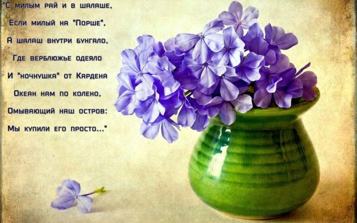 imgonline-com-ua-resize-prwplax0u6r